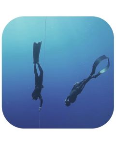 קורס Expert Diver לסקיפרים